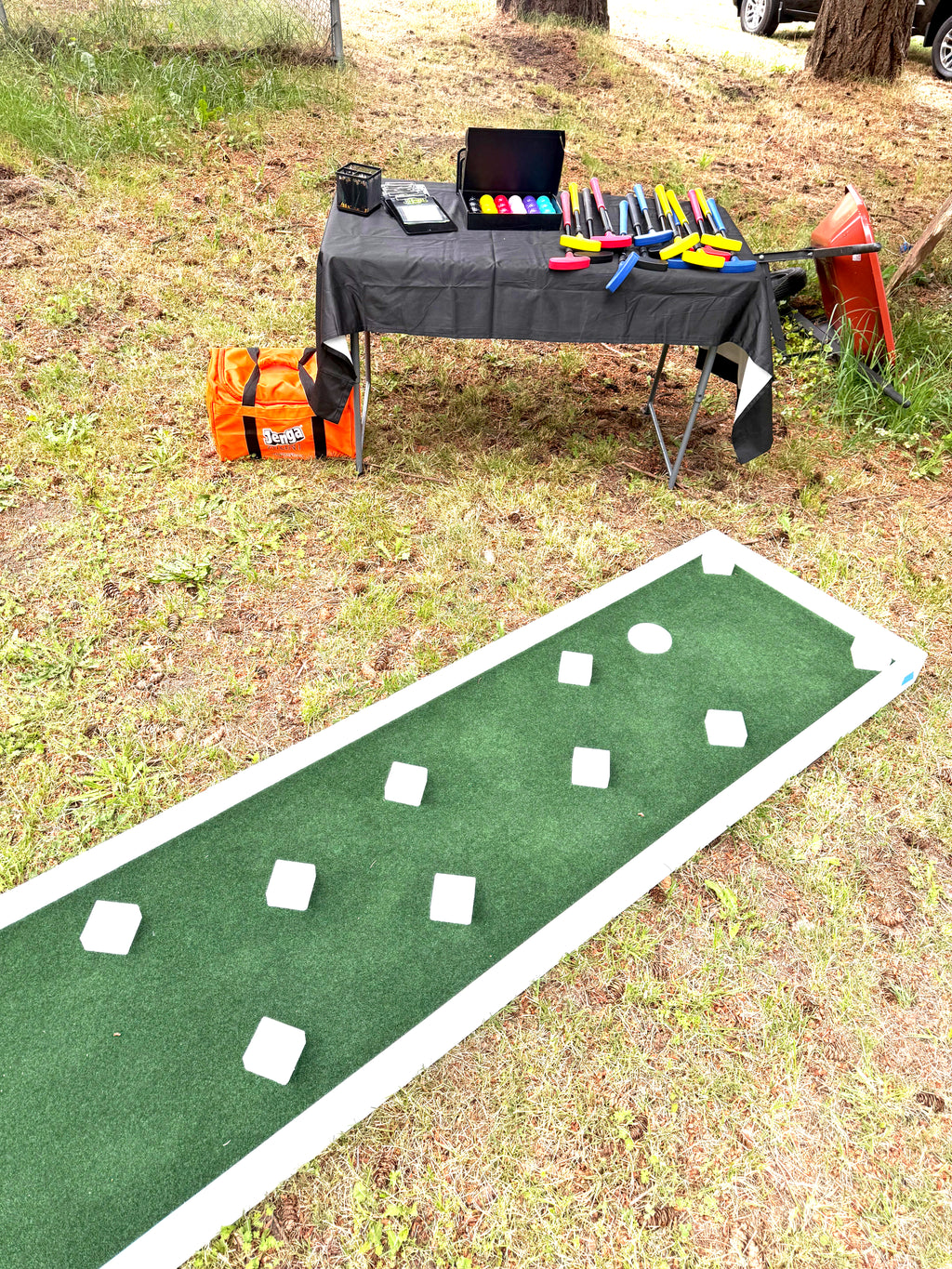Mini Golf 9 Hole