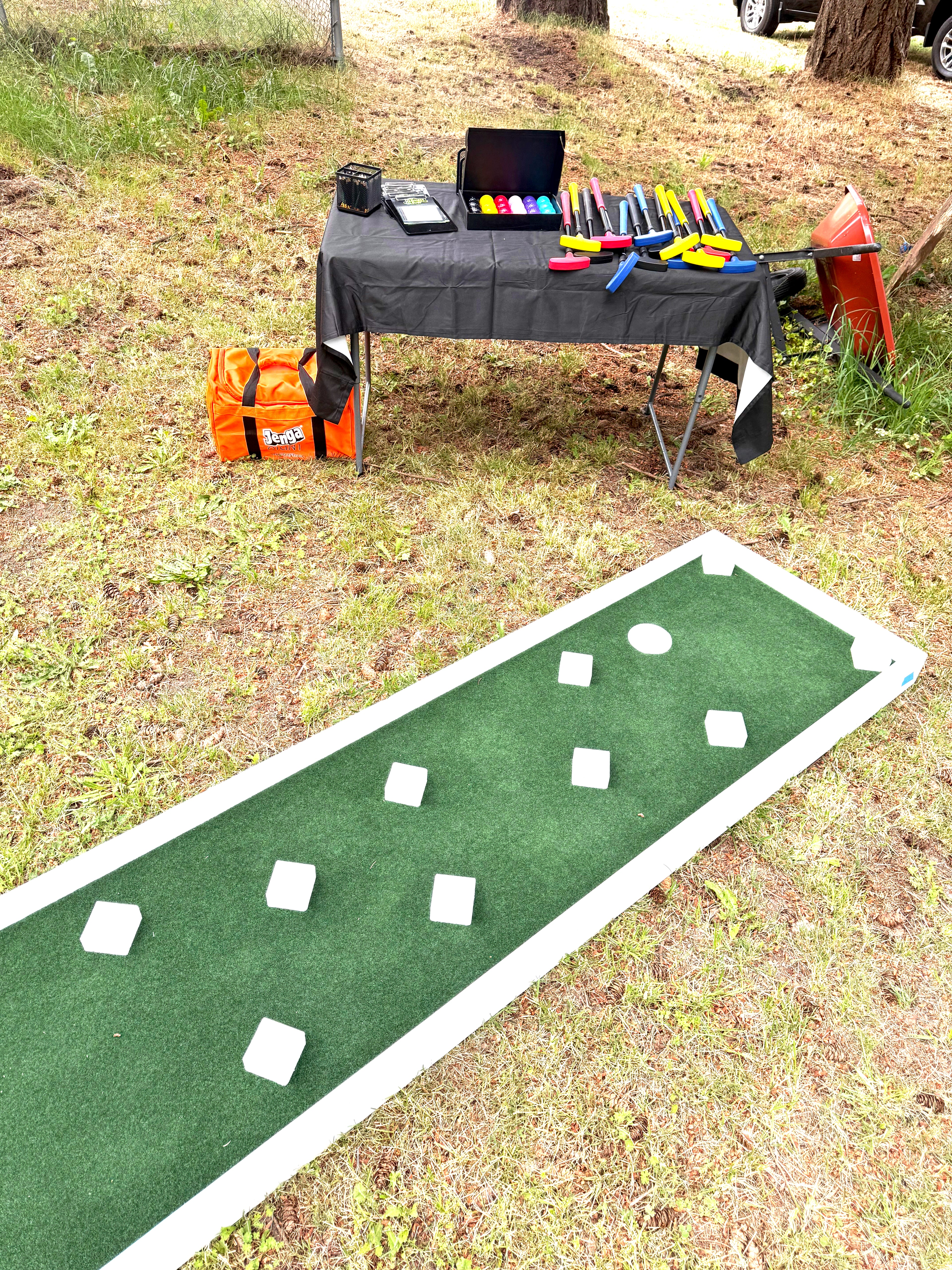 Mini Golf 9 Hole