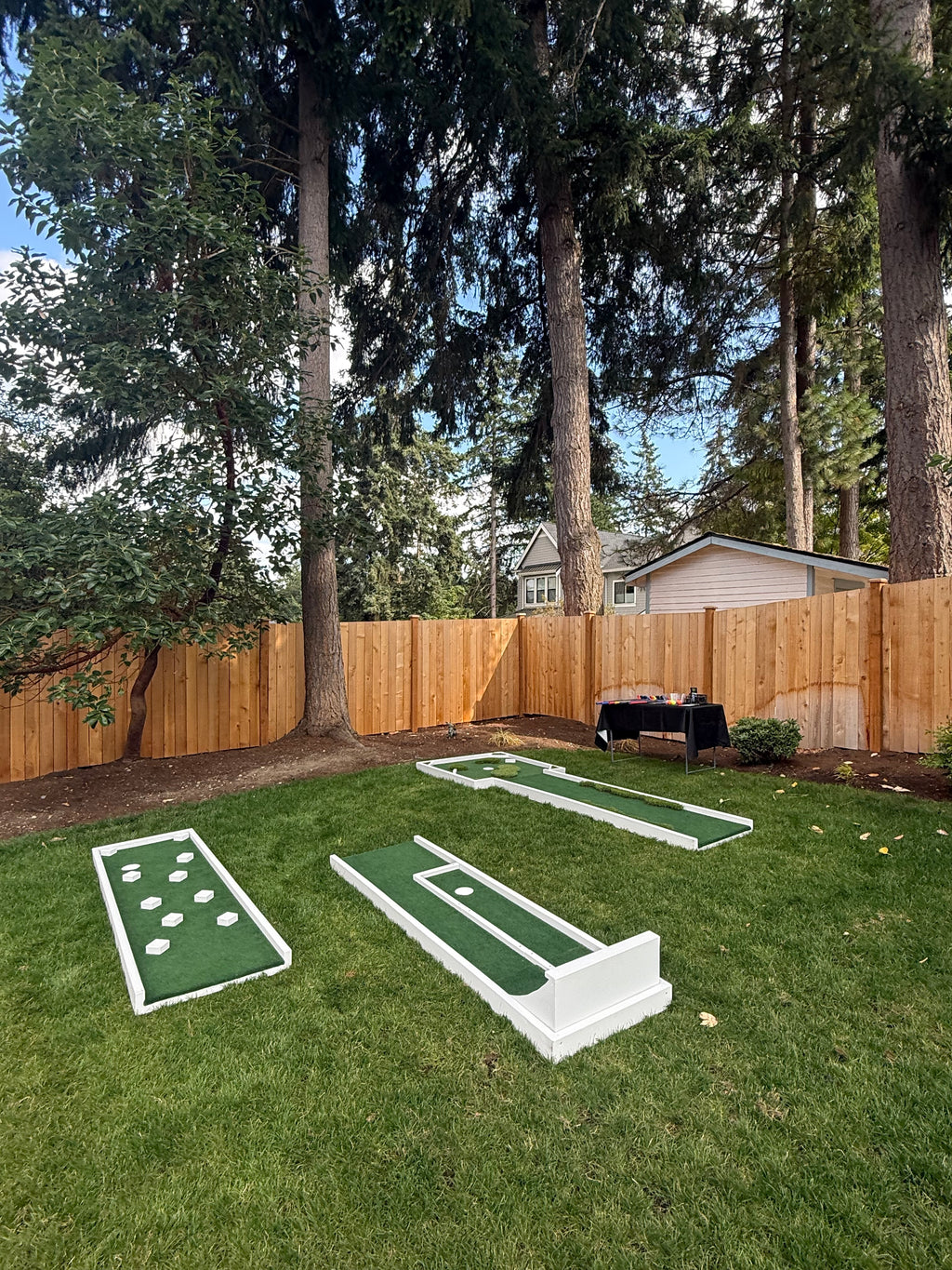 Mini Golf 3 Hole