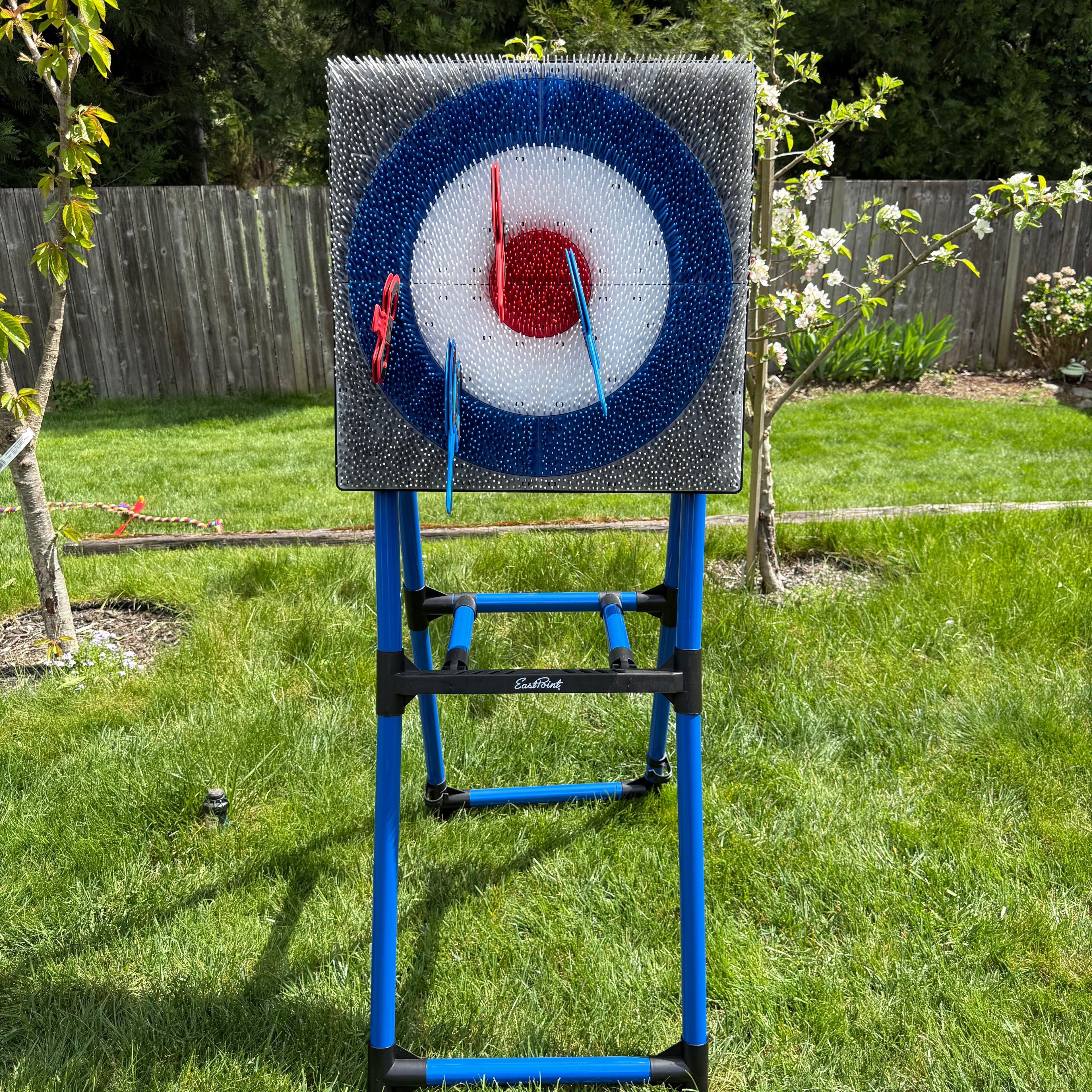 Axe Throwing