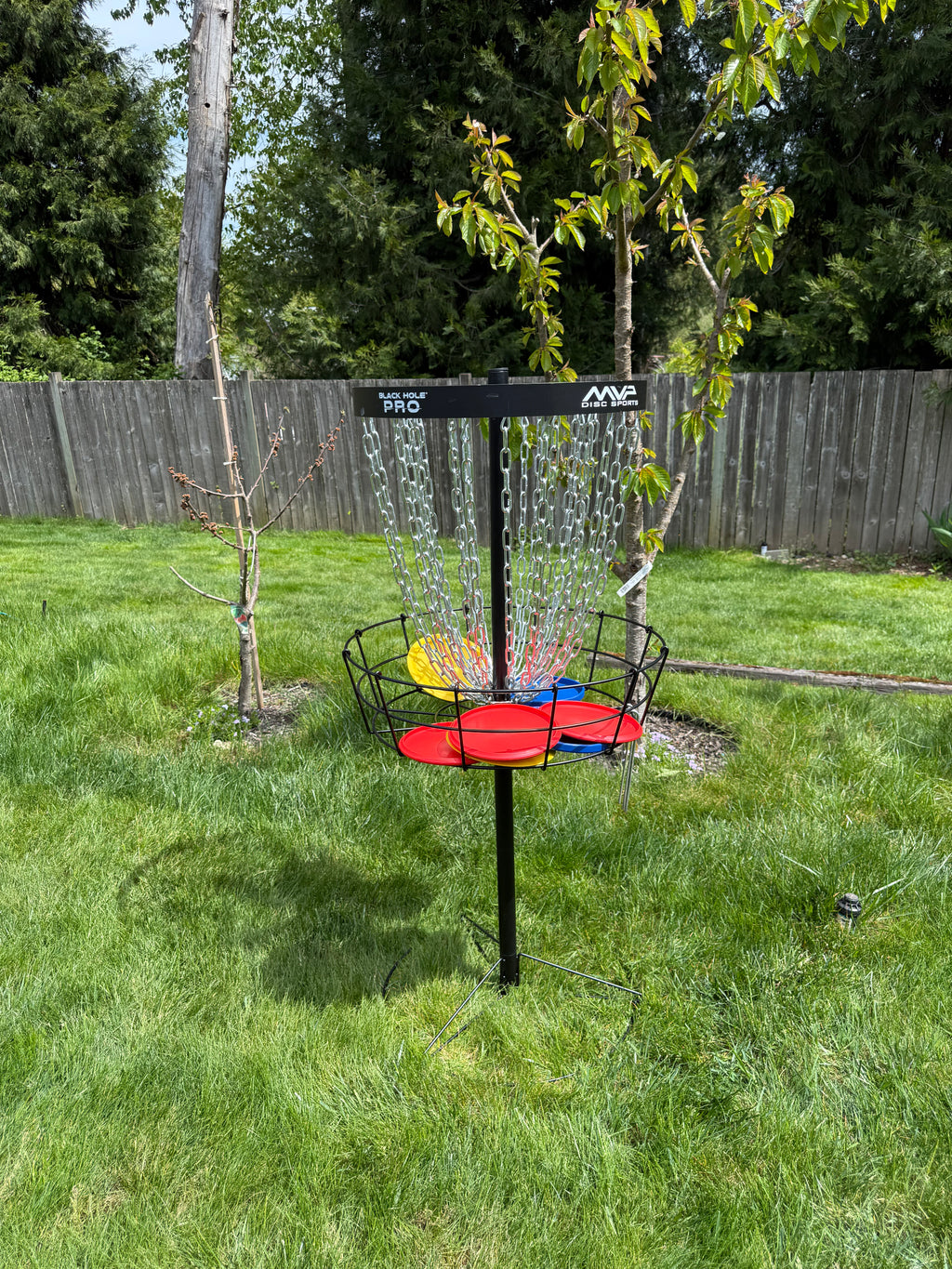 Disc Golf