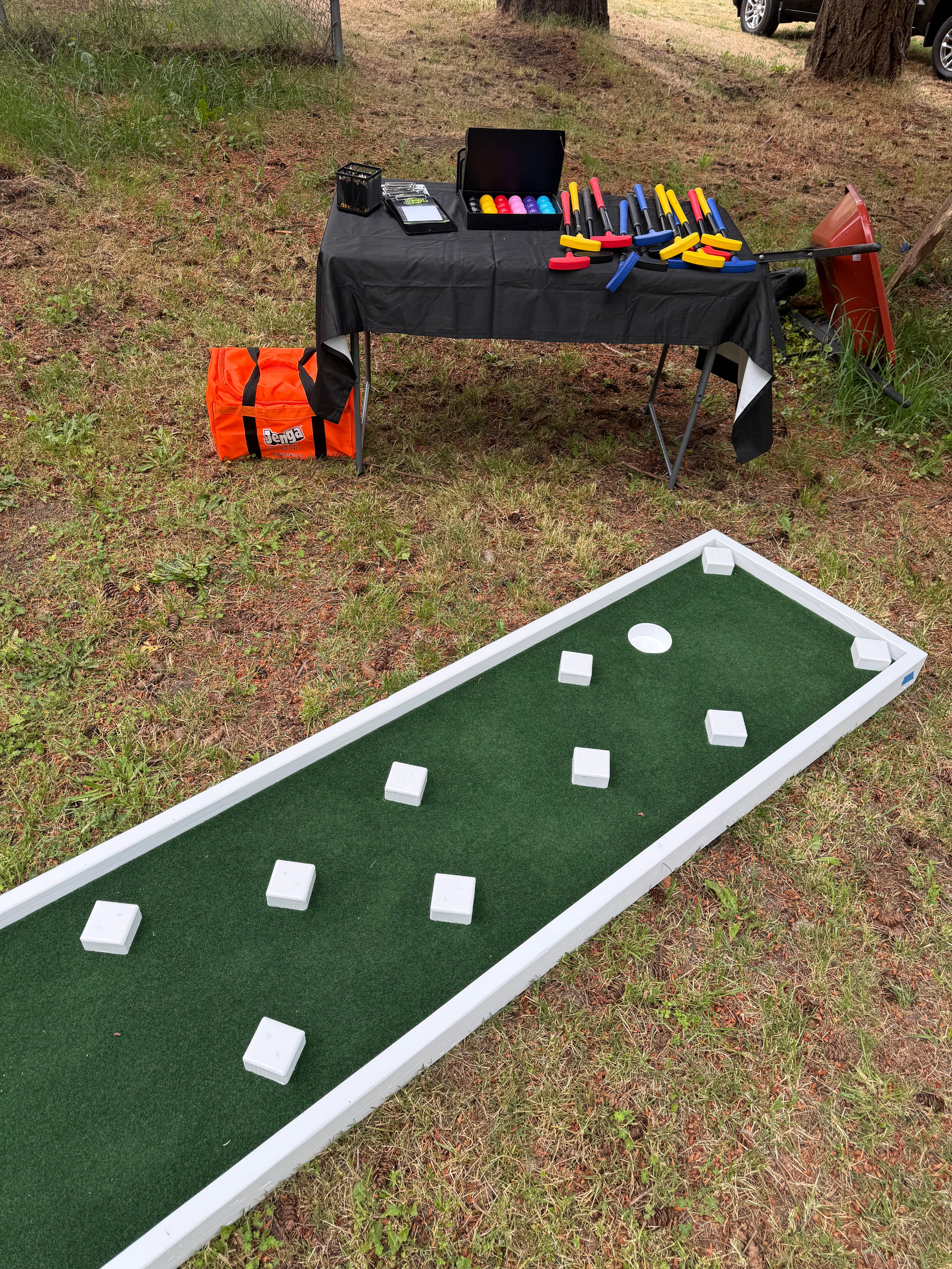 Mini Golf 3 Hole
